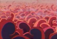 Кадр Человек-линза