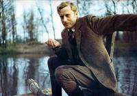 Кадр Барышни из Вилько