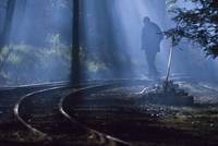 Кадр Вымирающая порода