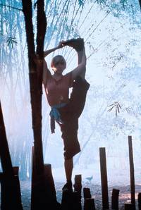 Кадр Леди дракон