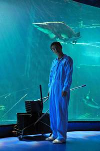 Кадр Рай океана