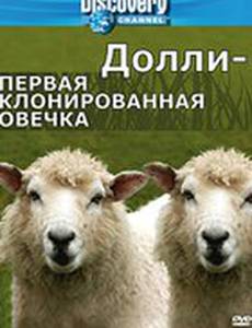 Discovery: Долли – первая клонированная овечка
