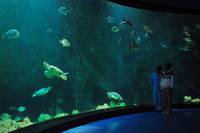 Кадр Рай океана