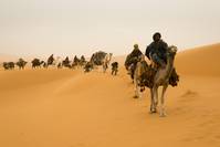 Кадр Лекарь: Ученик Авиценны