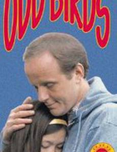Odd Birds