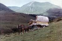 Кадр Большие каникулы