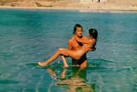 Кадр Греческая смоковница