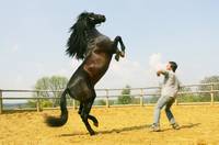 Кадр Танцуй с ним