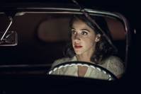 Кадр Пальмы в снегу