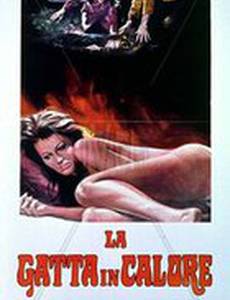La gatta in calore
