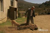 Кадр Бесчестье