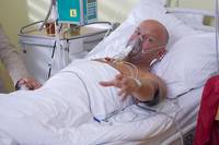 Кадр Бестиарий