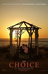 Постер Выбор