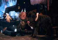 Кадр Полицейская академия 2: Их первое задание