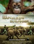 Постер из фильма "Рожденные на воле" - 1
