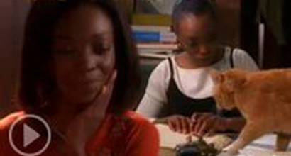 Вступительные титры (сезон 4)