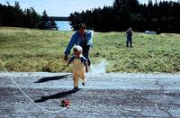 Кадр Кладбище домашних животных