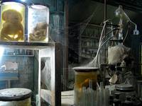 Кадр Восставший из ада 8: Адский мир (видео)