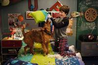 Кадр Пожарный пес