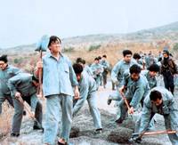 Кадр Остров огня