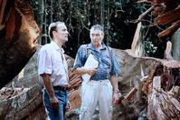 Кадр African Timber