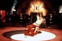 Кадр Коготь тигра 2