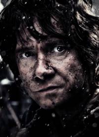 Постер Хоббит: Битва пяти воинств