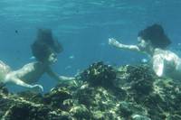 Кадр H2O: Просто добавь воды