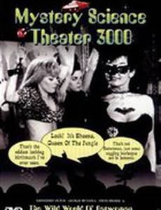 The Wild World of Batwoman