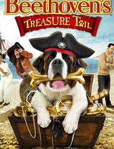 Сокровища Бетховена (видео)