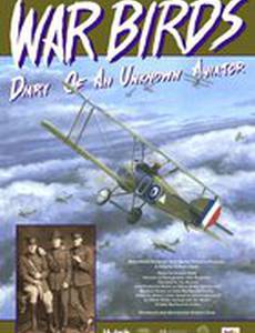 Птицы войны: Дневник неизвестного авиатора (видео)