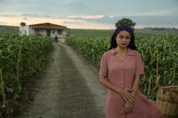 Кадр Милая и опасная