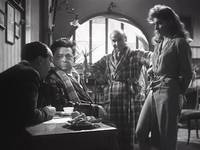 Кадр Собачья жизнь