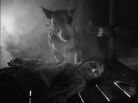 Кадр Франкенвини