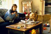 Кадр Король воздуха