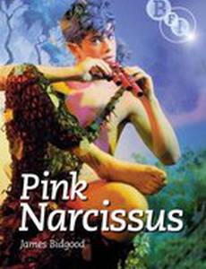 Розовый нарцисс