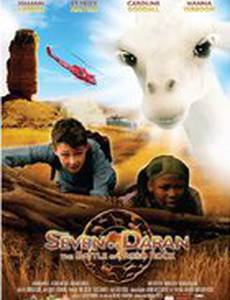 De zeven van Daran, de strijd om Pareo Rots