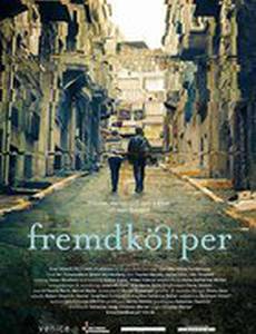 Инородное тело