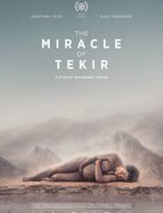 The Miracle of Tekir