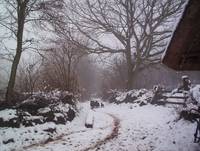 Кадр Tales from the Green Valley