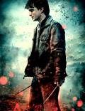Постер из фильма "Гарри Поттер и Дары смерти: Часть 2" - 1