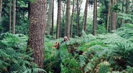 Кадр из фильма "Как я теперь люблю" - 1