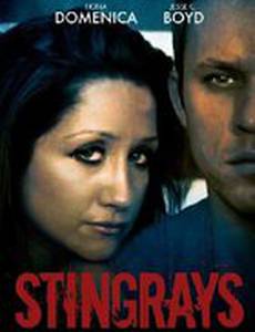 Stingrays: An Unconventional Love Story