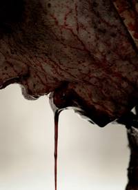 Кадр Операция «Мертвый снег»