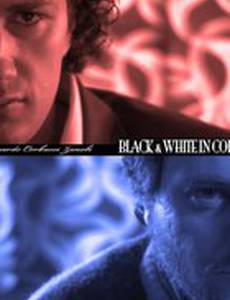 Чёрные и белые в цвете