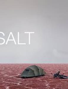 Соль