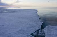 Кадр Мишка на севере