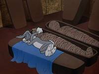 Кадр Вода, вода каждому кролику