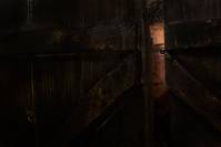 Кадр Волчьи дети