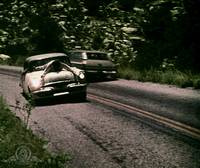 Кадр The Young Animals